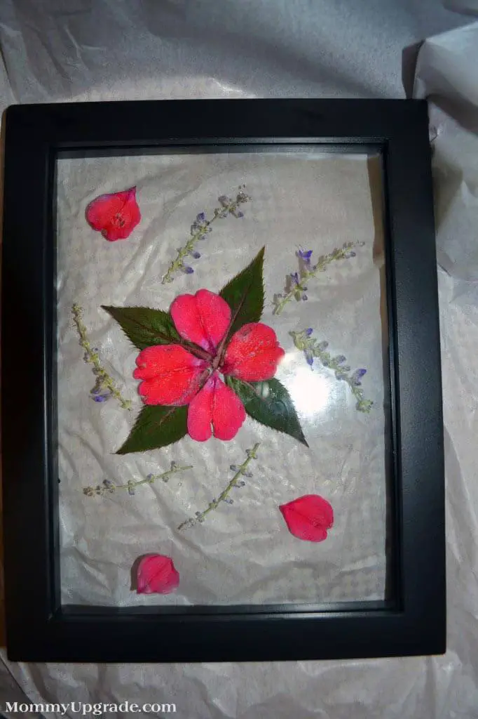 Diy Framed Pressed Flowers Tried And True By Trista